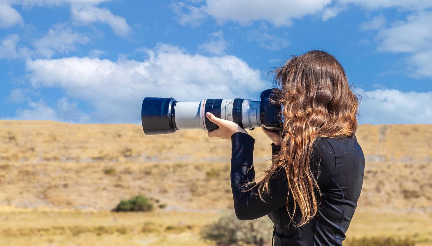 Wildlife Photography