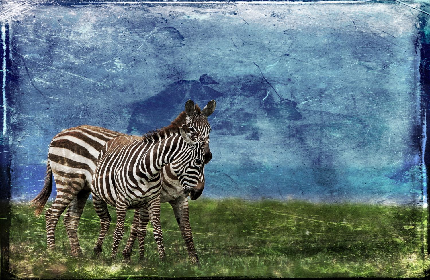 Art Wildlife